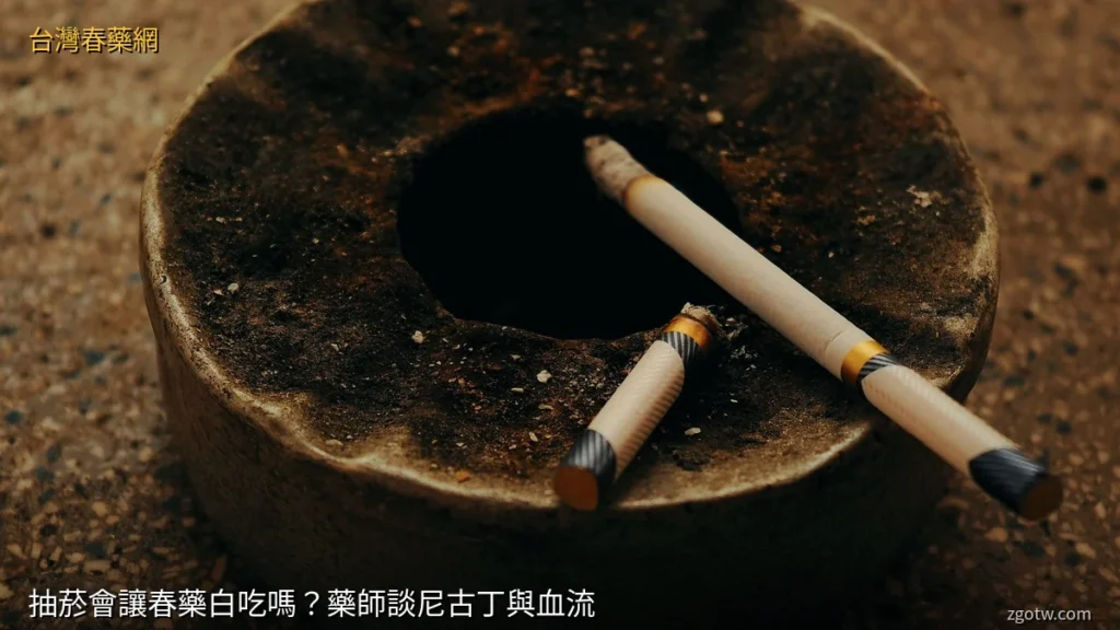 抽菸與春藥效果:尼古丁收縮血管,藥師談血流影響(台灣春藥網)